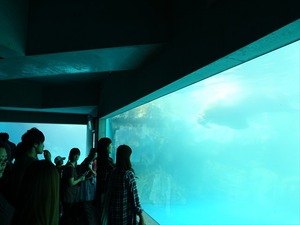 DSC05606_R
