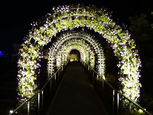 DSC02621_R