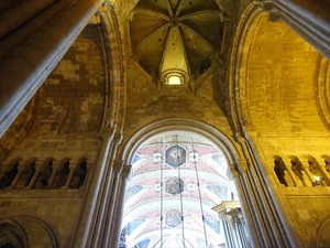 DSC07424_R