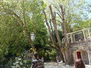 DSC06944_R