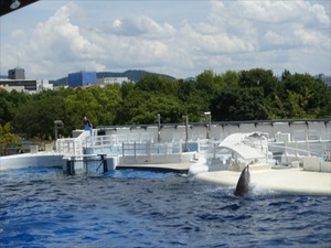 DSC07821_R