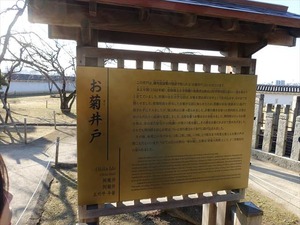 DSC01294_R