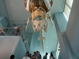 DSC03479_R
