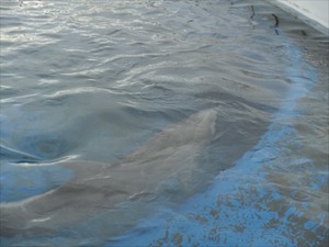 DSC08061_R