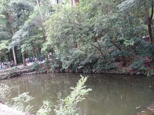 DSC07328_R