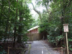DSC07376_R