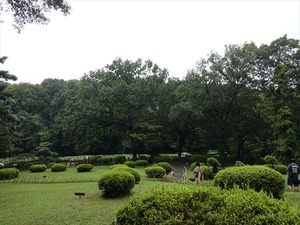 DSC02433_R