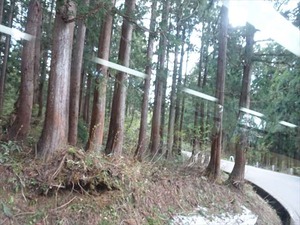 DSC04754_R