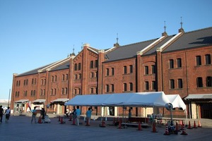IMG_6684