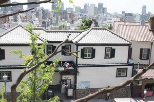 IMG_3016