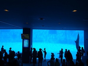 DSC03472_R