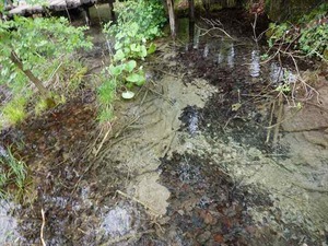 DSC00716_R