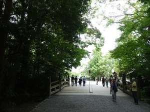 DSC07379_R