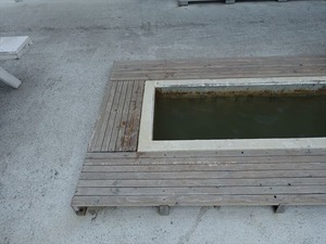 DSC07410_R