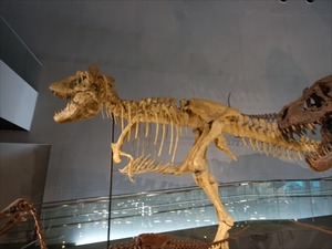 DSC04994_R