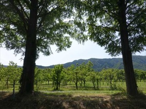 DSC05440_R