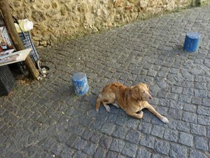 DSC07445_R