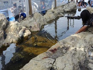 DSC05675_R