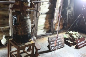 IMG_1149