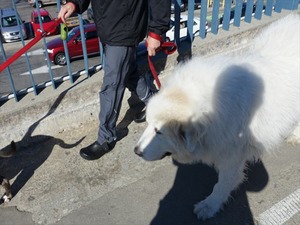 DSC07557_R