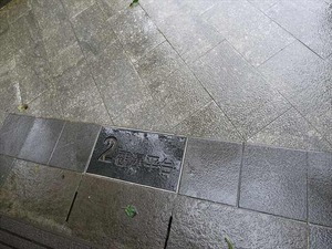 DSC06648_R