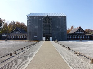 DSC01379_R