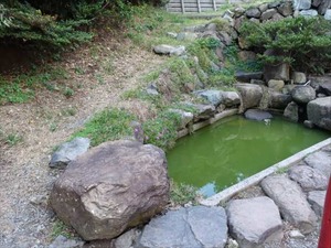 DSC09956_R