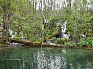 DSC00721_R