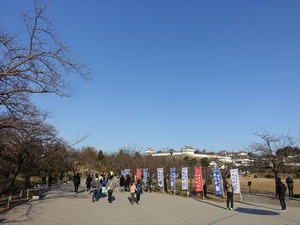 DSC01186_R