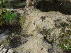 DSC00792_R