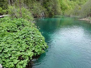 DSC00745_R