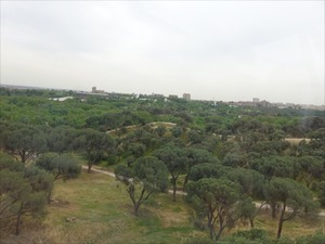 DSC03797_R