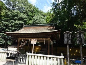 DSC01421_R