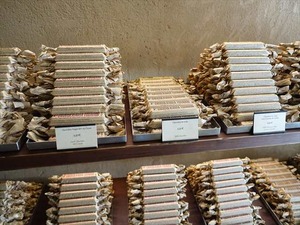 DSC06511_R