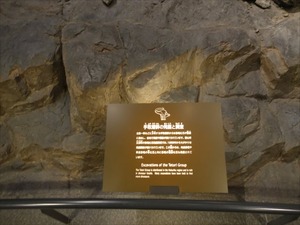 DSC04972_R