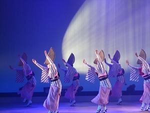 DSC01563_R