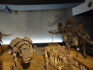 DSC05038_R