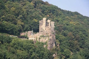 IMG_3345