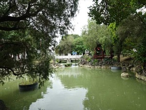 DSC03756_R