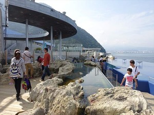 DSC05671_R