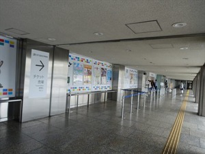 DSC02339_R