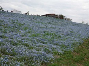 DSC00149_R