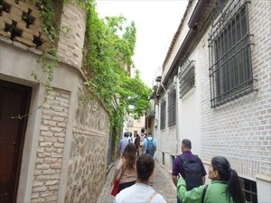DSC03981_R