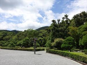 DSC07419_R