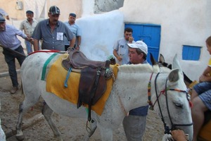 IMG_7837