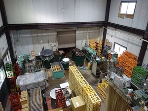 DSC03132_R