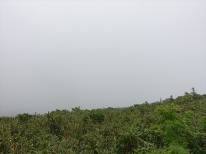 DSC06462_R