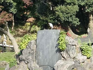 DSC05102_R