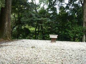 DSC07358_R