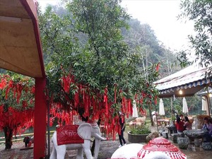 DSC06622_R
